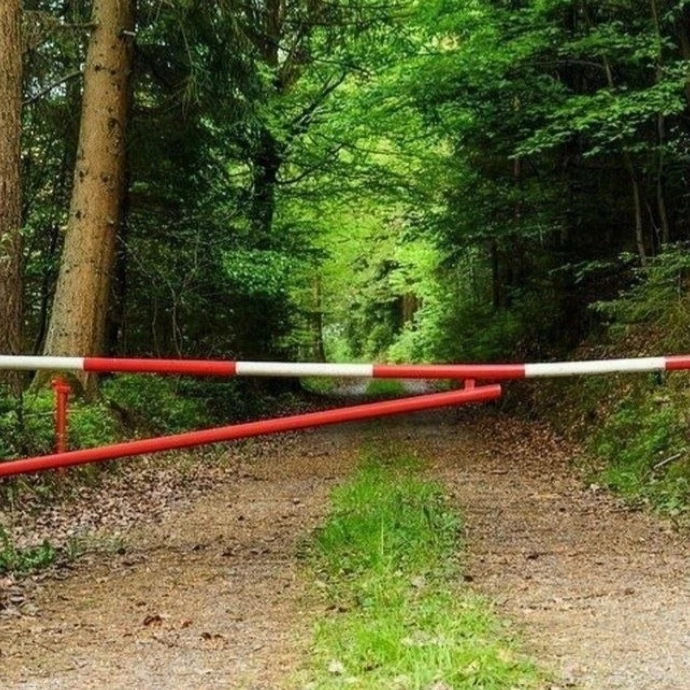 ❗С 22 апреля в Курганской области запретят посещение лесов  Ограничение вводится на фоне особого про