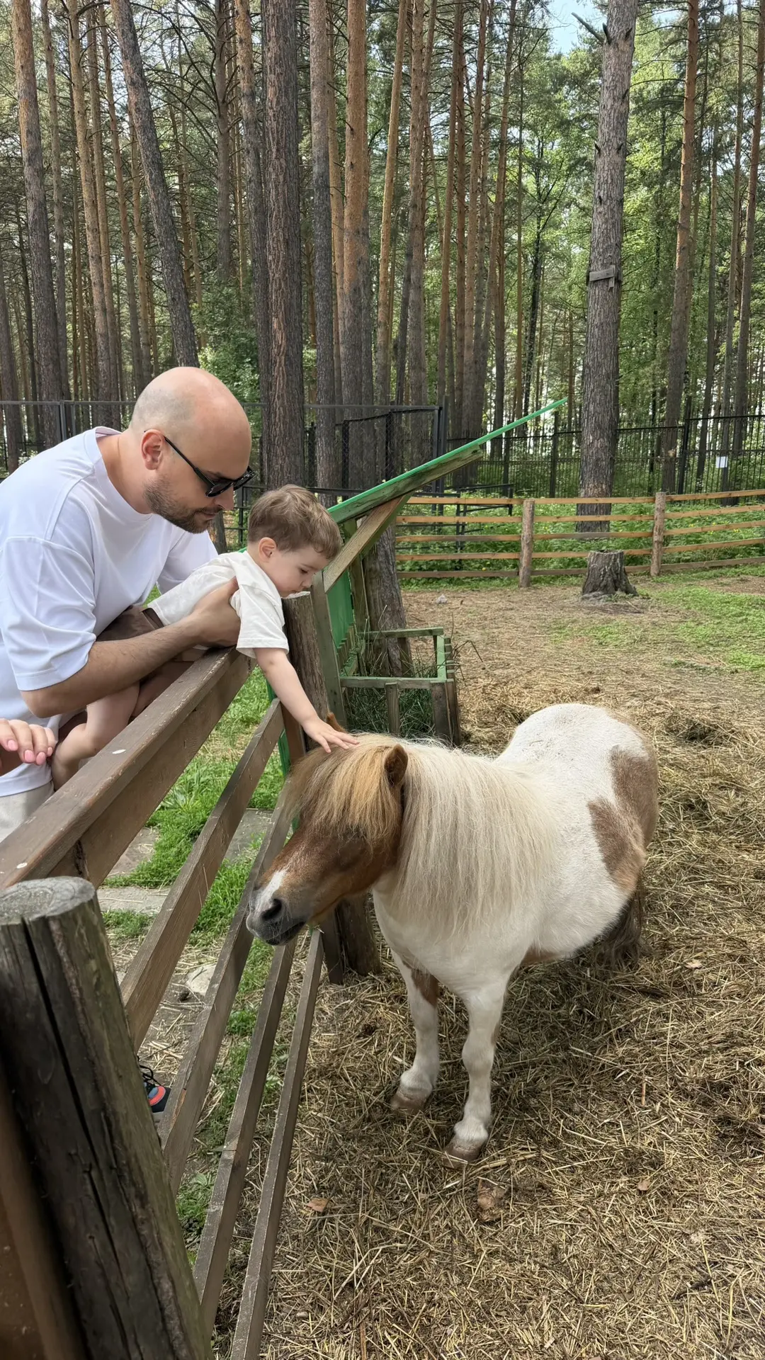 Мы в Железногорске 🌱

Это родной город мужа, мы приехали сюда повидаться с близкими и просто отдохн