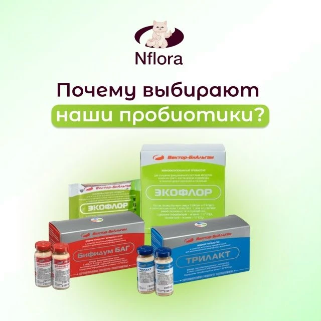 Пробиотики, содержащие живые активные бифидо и лактобактерии - ваши помощники на пути к...