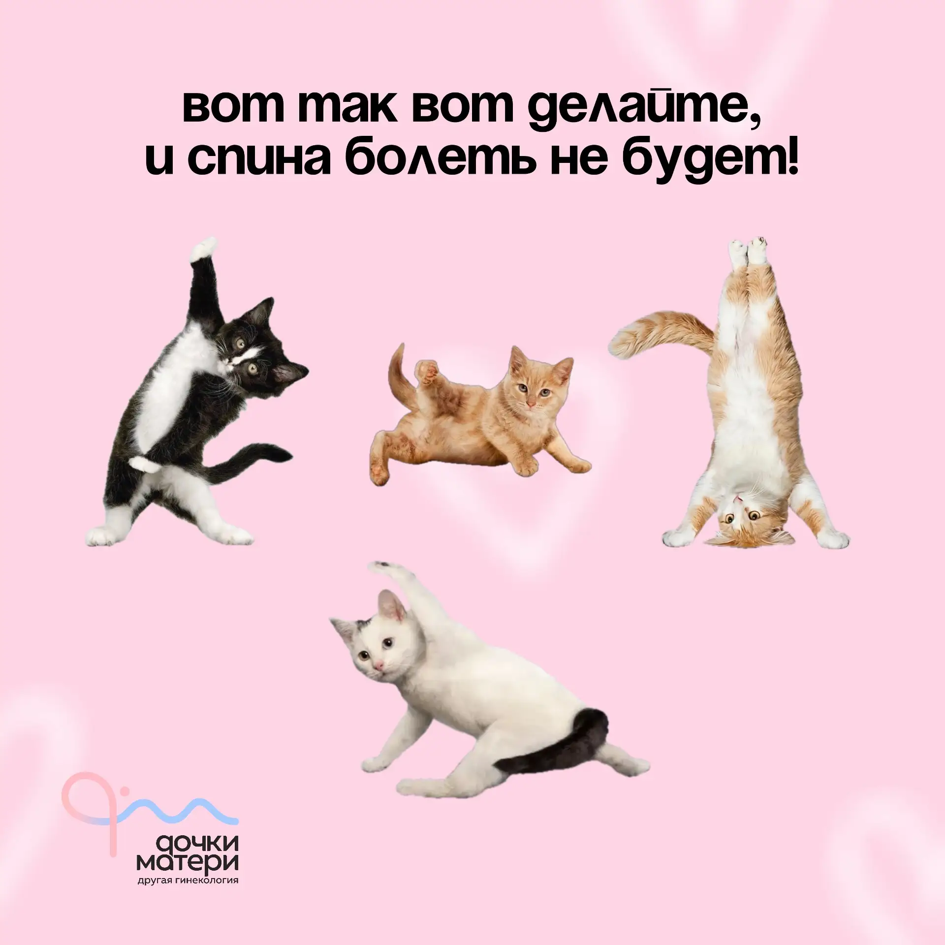 И не только спина! 😁

На самом деле, регулярная физическая активность помогает поддерживать гормона