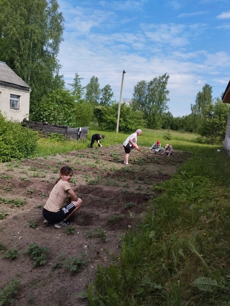 Трудовой десант в лагере — в самом разгаре! 💪
Ребята дружно окучивали грядки с картофелем на пришко