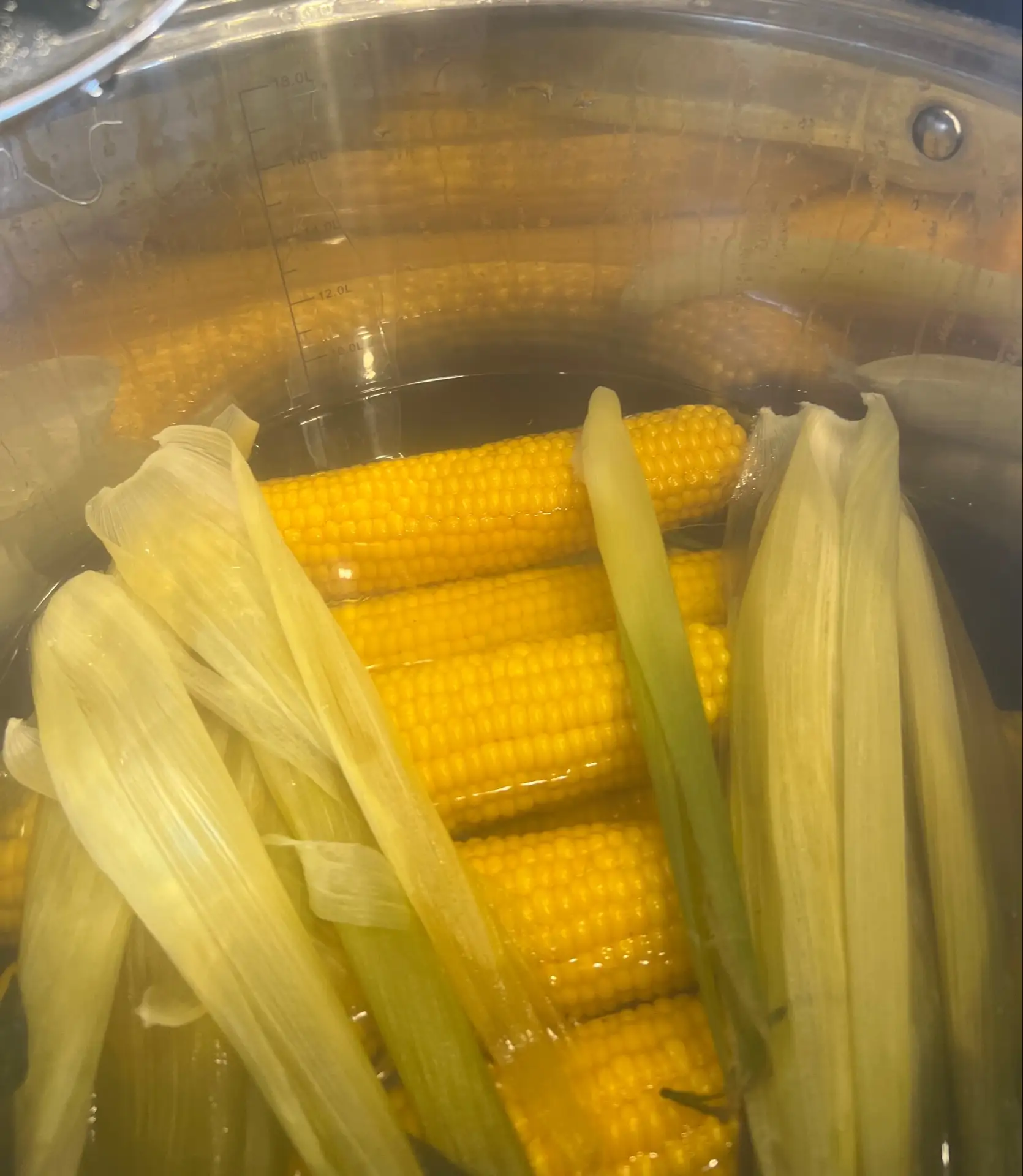 Вечерняя кукуруза 🌽 уже готова