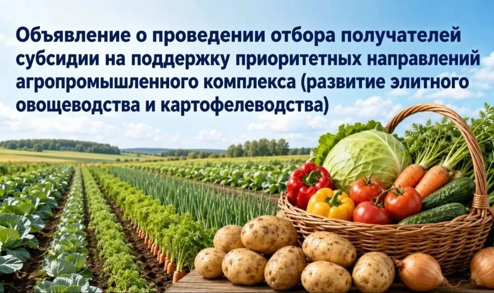 Минсельхоз области объявляет о проведении отбора получателей субсидии на поддержку приоритетных напр