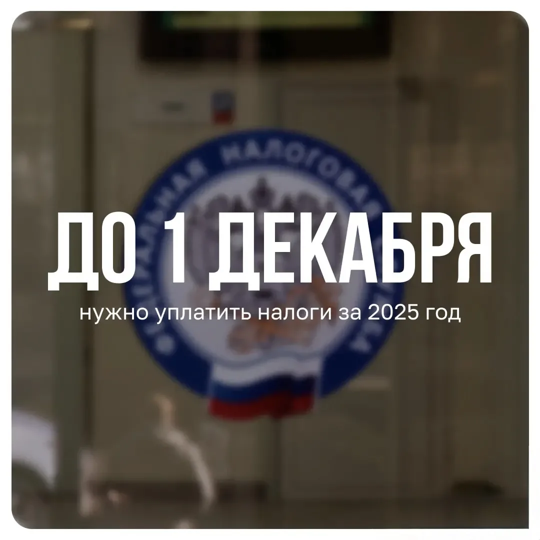 📁📆 Налоги за 2025 год нужно уплатить до 1 декабря 2026 года