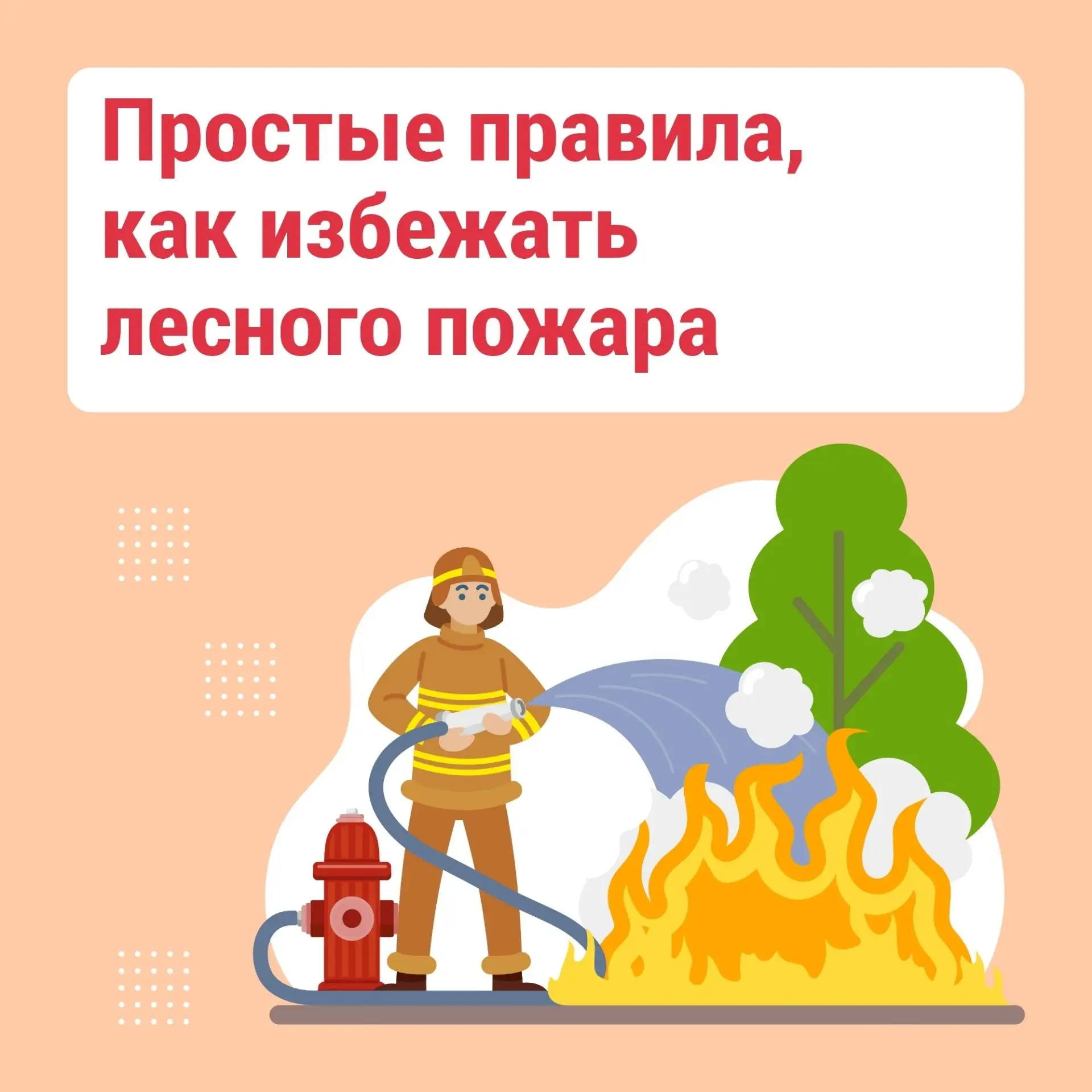 Лесные пожары легче предупредить, чем потушить.

Чаще всего причиной возгорания становится человечес