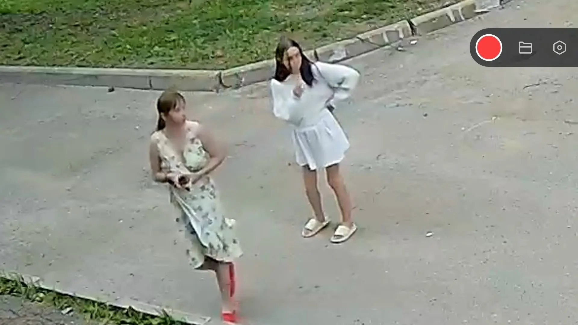 Две девицы под окном крали розы вечерком. Покурили, оборвали и бегом потом бежали. Не д...