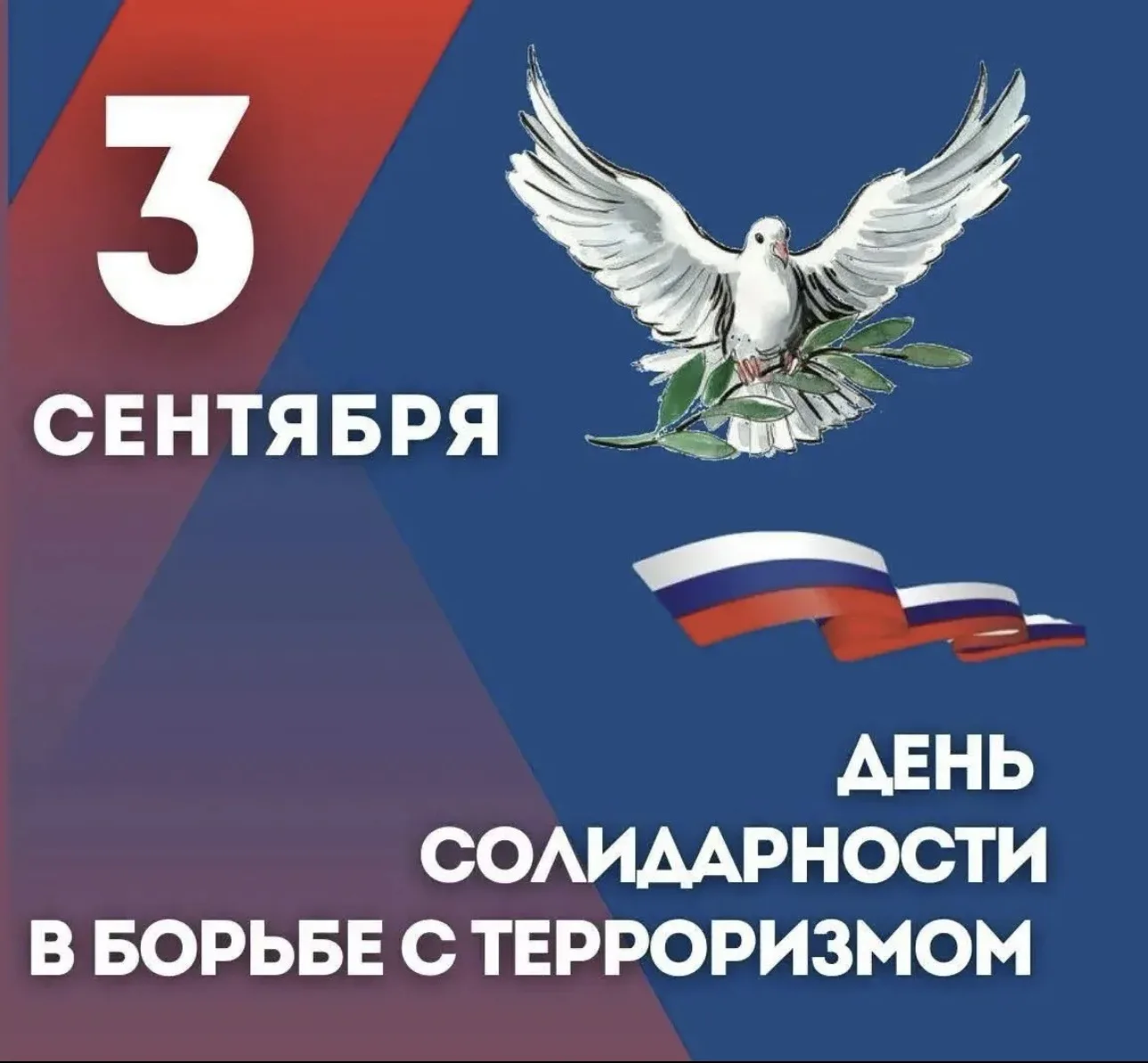 Сегодня 03.09.2026 года в МКОУ «Цыйшинская СОШ им.Гасанова Г.З» прошел единый классный ...