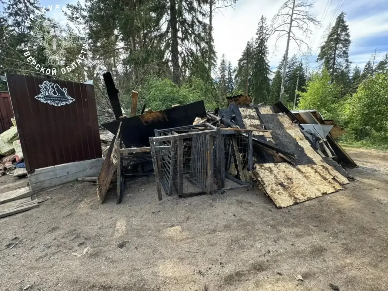🐾🔥 В Вышнем Волочке при пожаре в приюте погибли 19 собак

Трагедия произошла утром 13 июня на улиц