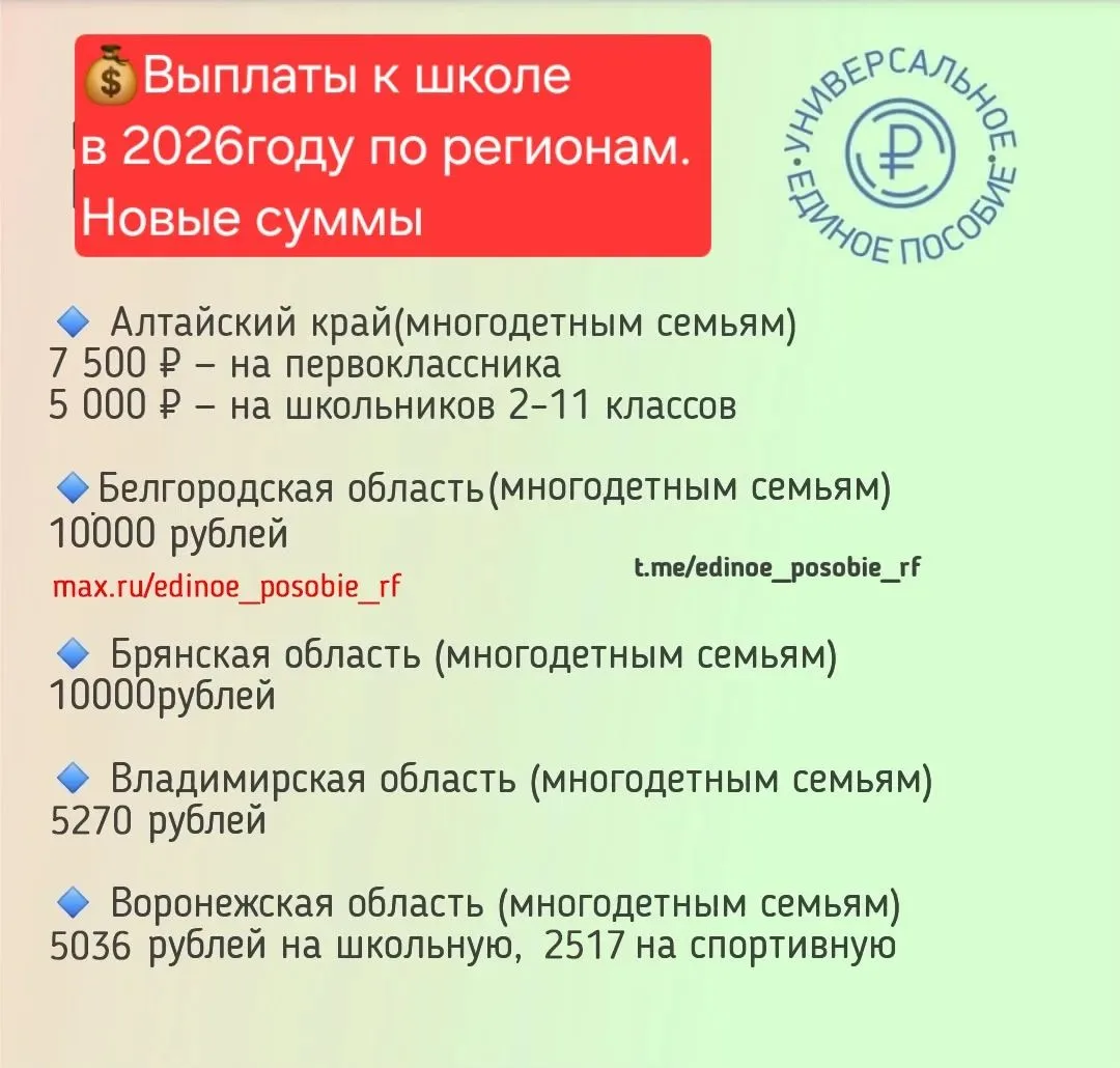 Изображение 1 к публикации «Единое пособие | ПОСОБИЯ»