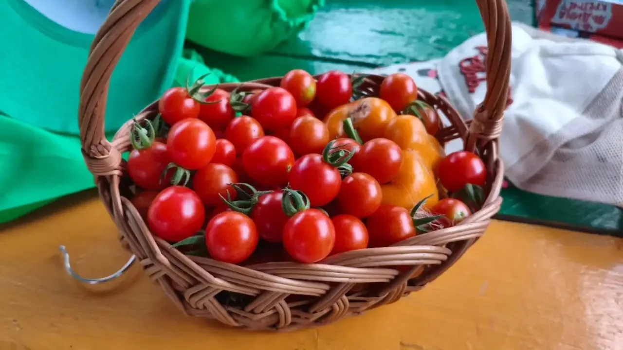 Витамины с собственной грядки! 🥬✨
