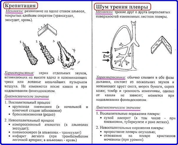Аускультация легких