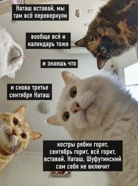 С добрым утром, наши дорогие!