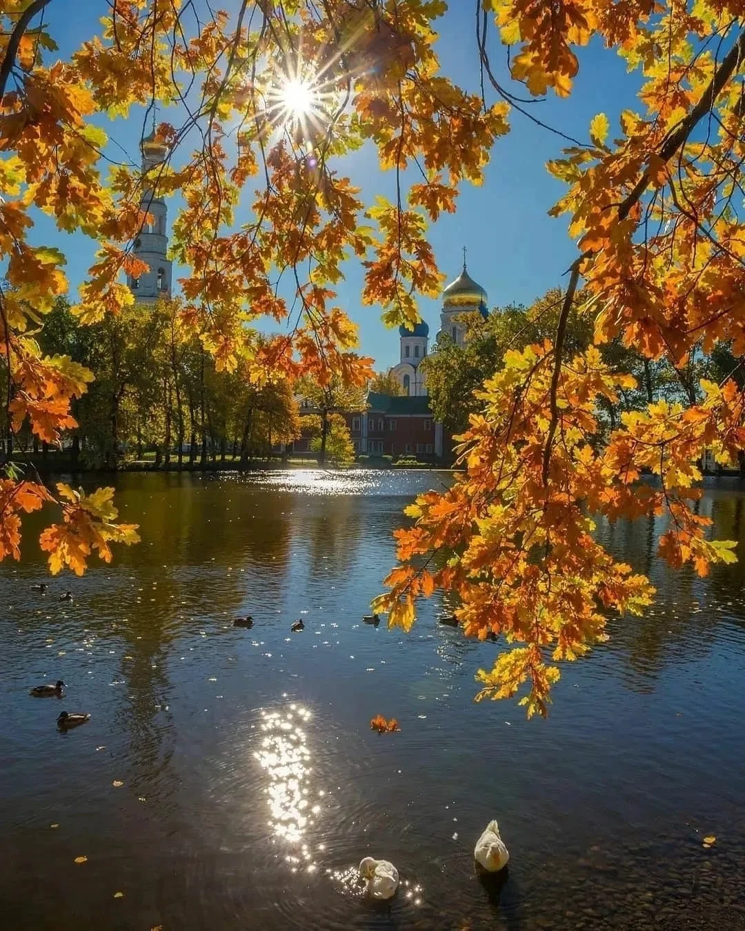 Подборка красивых фотографий. 🍂🍁🍂 Какое фото нравится вам больше 1,2,3...10?