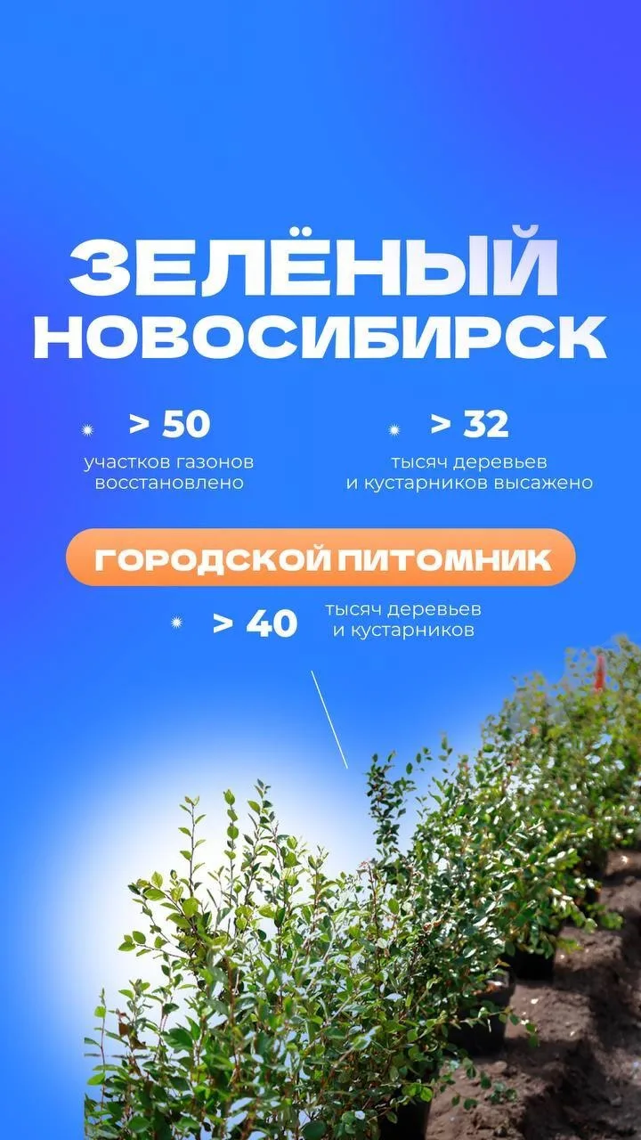 🌳 Мэр Новосибирска Максим Кудрявцев выступил с ежегодным отчётом перед депутатами, где одной из ключ