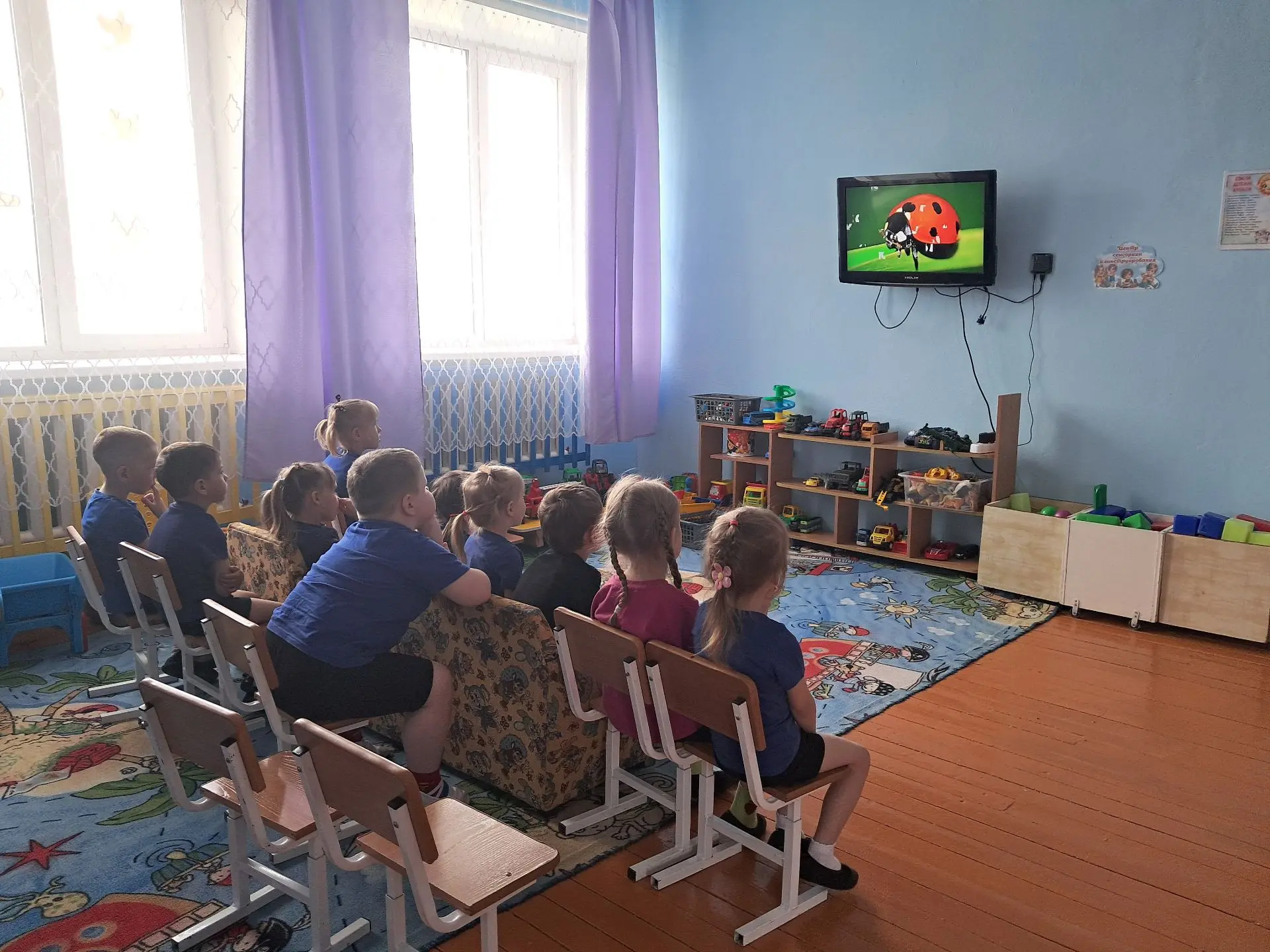 «Насекомые летают, скачут, ползают, парят».