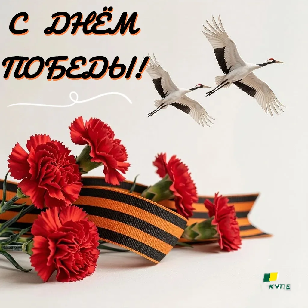 Дорогие друзья!