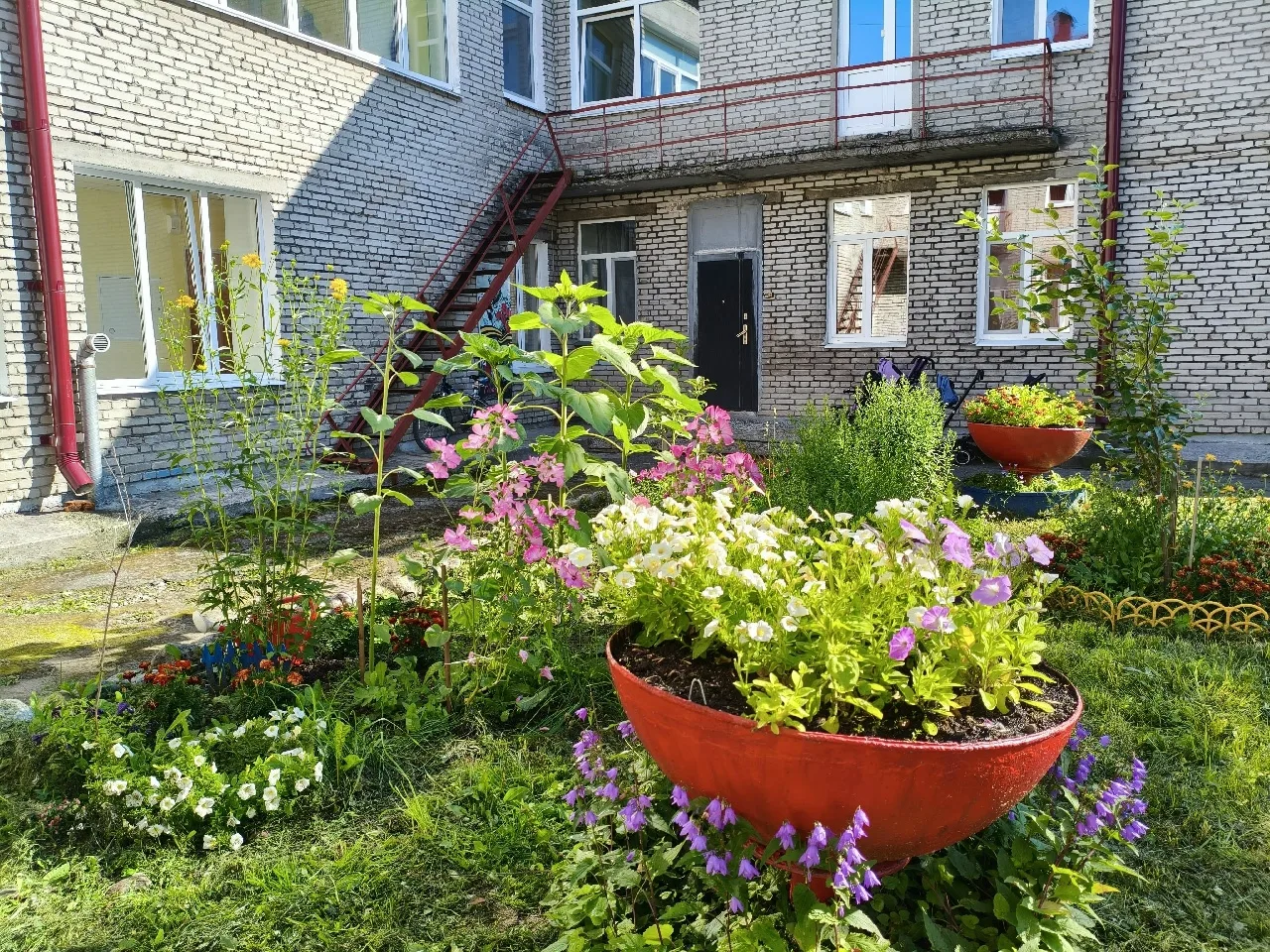 Каждый год весной Балашова Н.В. и Гусева О.В. вместе с детьми выращивают рассаду для цв...