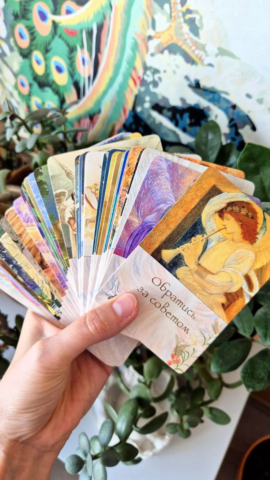 ПОДСКАЗКА НА НЕДЕЛЮ для каждой из мак карт "Ангелы знают ответ" 👼 

Доброй недели, прекрасные😊

Вд
