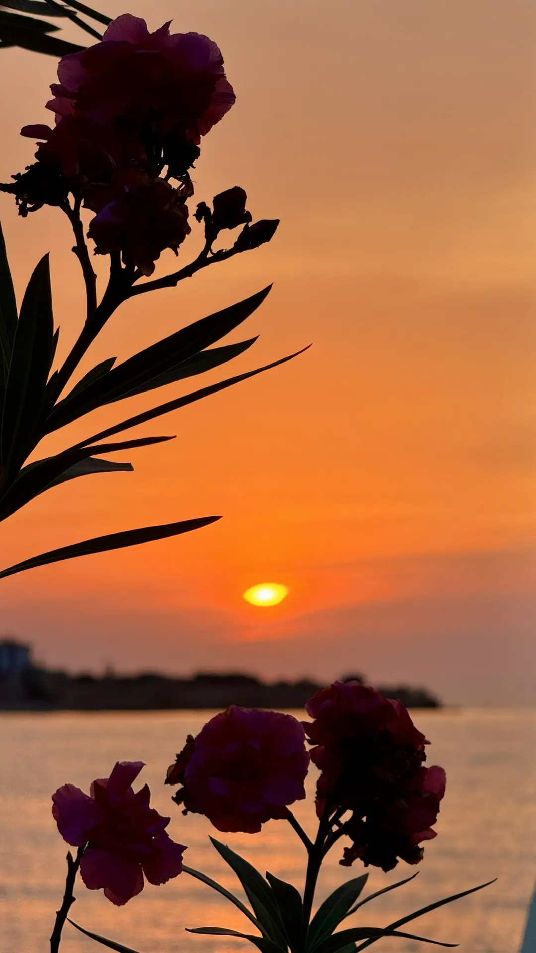 Сегодняшний закат над бухтой Круглой в Севастополе 😍🌅