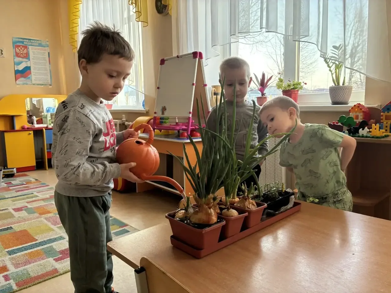 У нас в группе «Почемучки» есть маленький огород на окне. Дети с удовольствием ухаживаю...