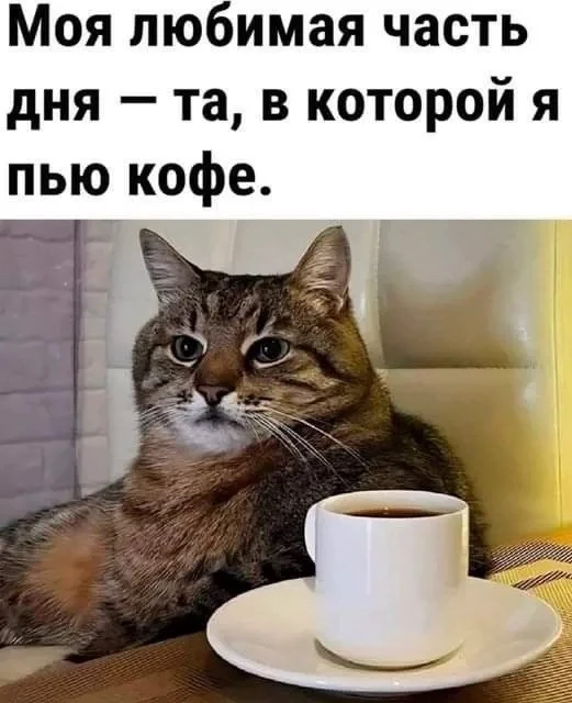 Девчонки, сегодня кофейный четверг! ☕️