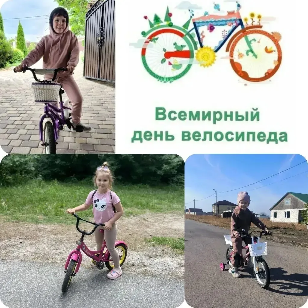 Всемирный день велосипеда🚲
