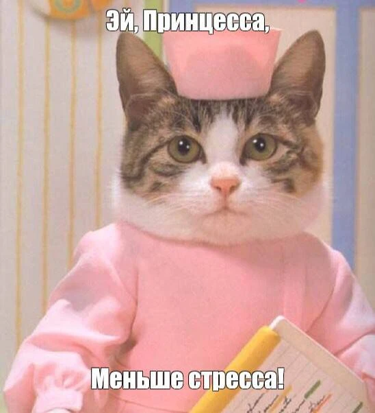 🫨 Миллениалы — самое тревожное поколение – около 30% москвичей испытывают тревожность — это самый в