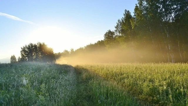 ☀ДОБРОЕ УТРО☀

✨ Обязательно найдите время, чтобы просто порадоваться жизни, а проблемы подождут 😉
