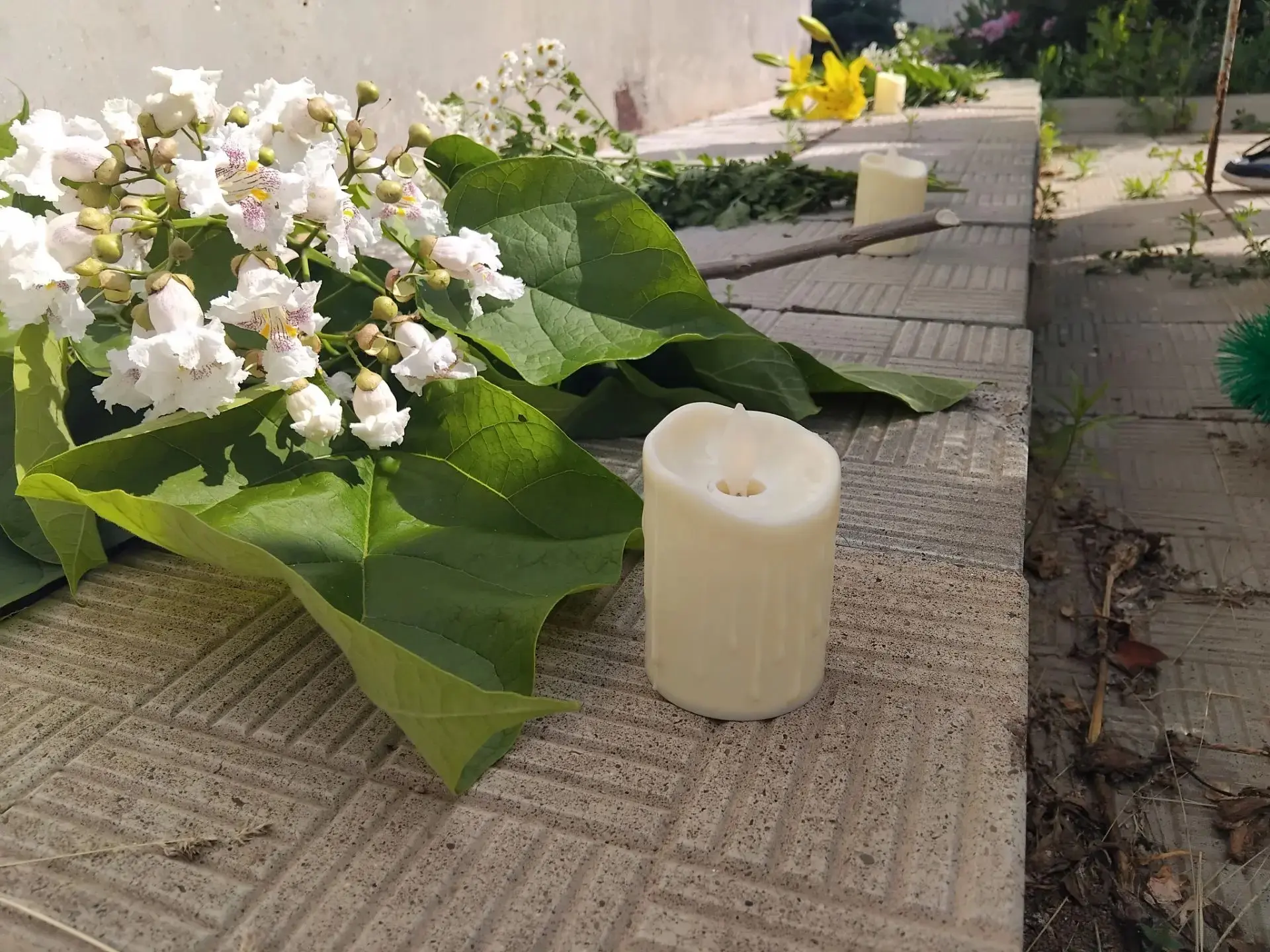 22 июня – день, который отзывается в каждой семье.День памяти и скорби.
85 лет назад в этот день нач