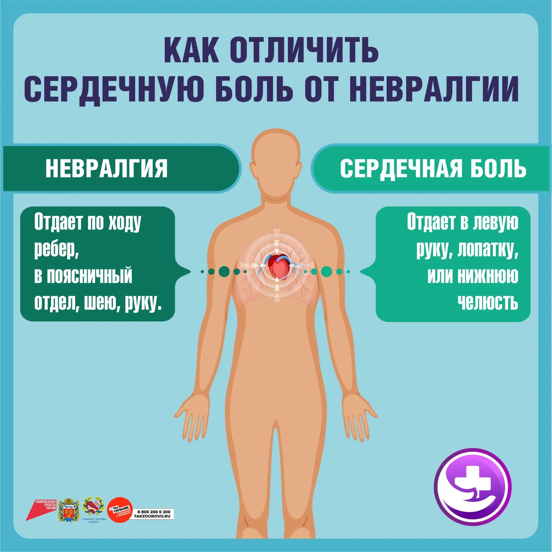 C 09.02.26 по 15.02.26 «Неделя осведомленности о заболеваниях сердца (в честь международного дня осв