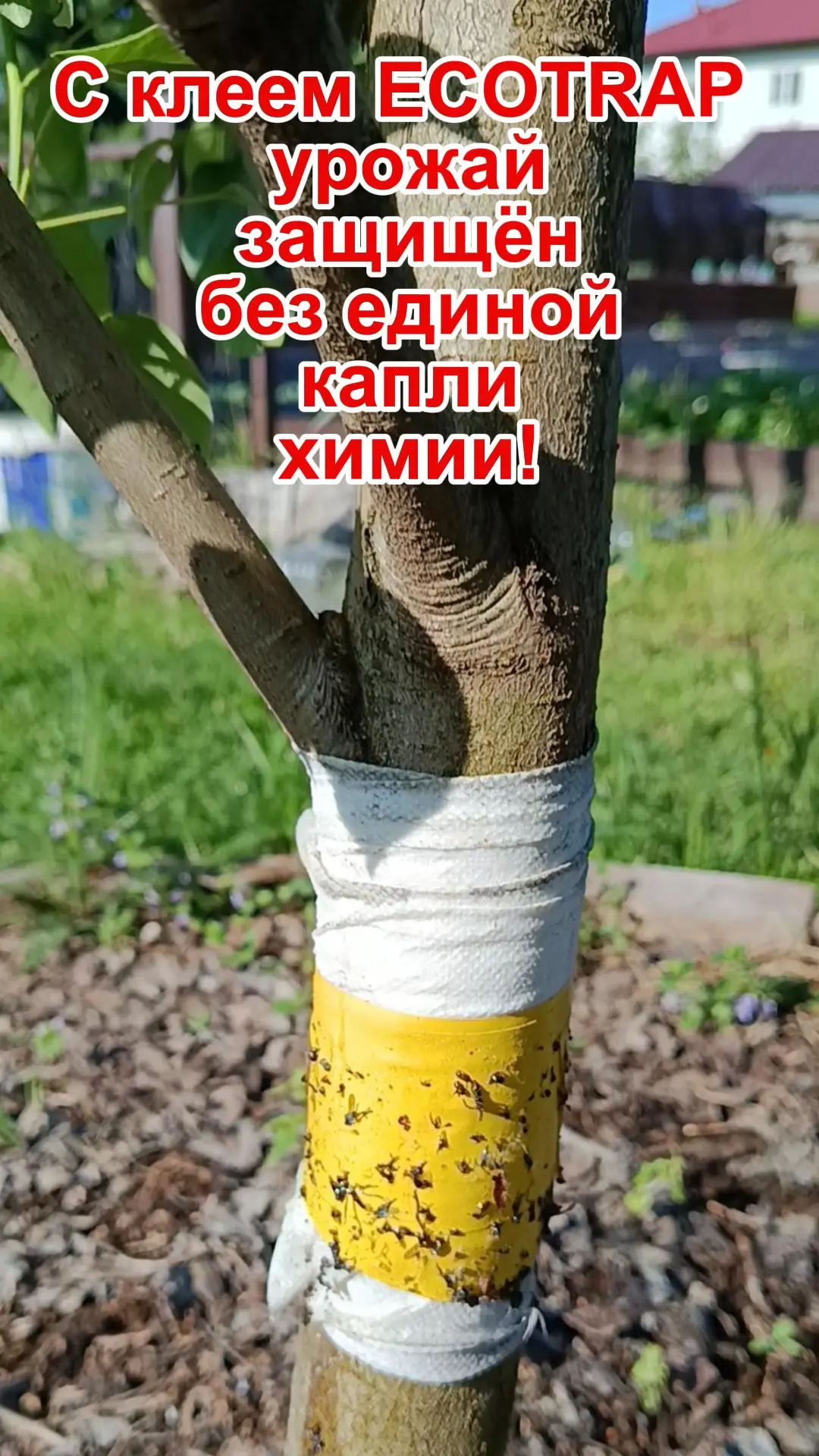 https://vkvideo.ru/clip-101079042_456240790?sh=4 Перейти на Ozon: https://vk.cc/cY8sqf