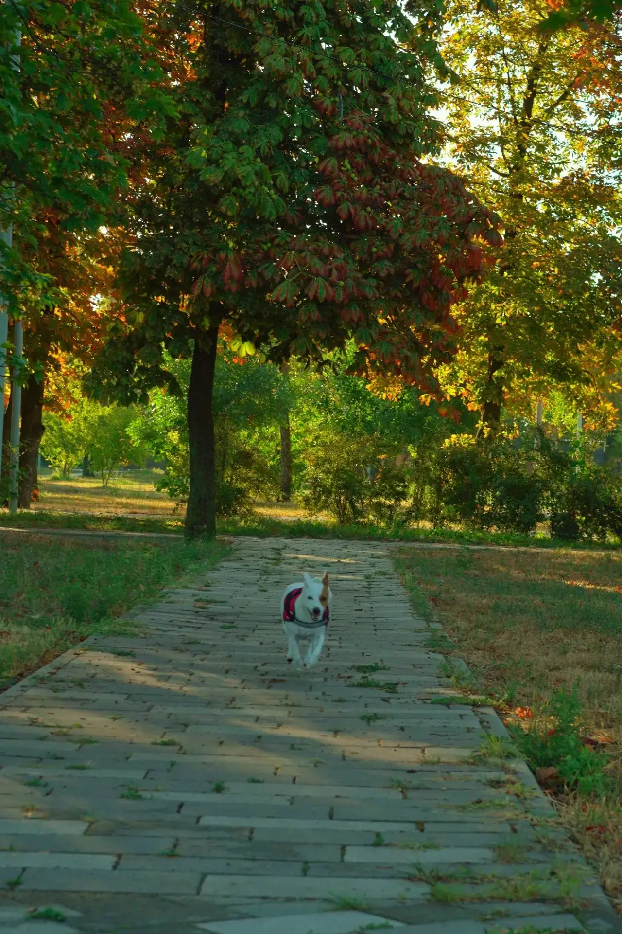 ☀️ Доброе утро!