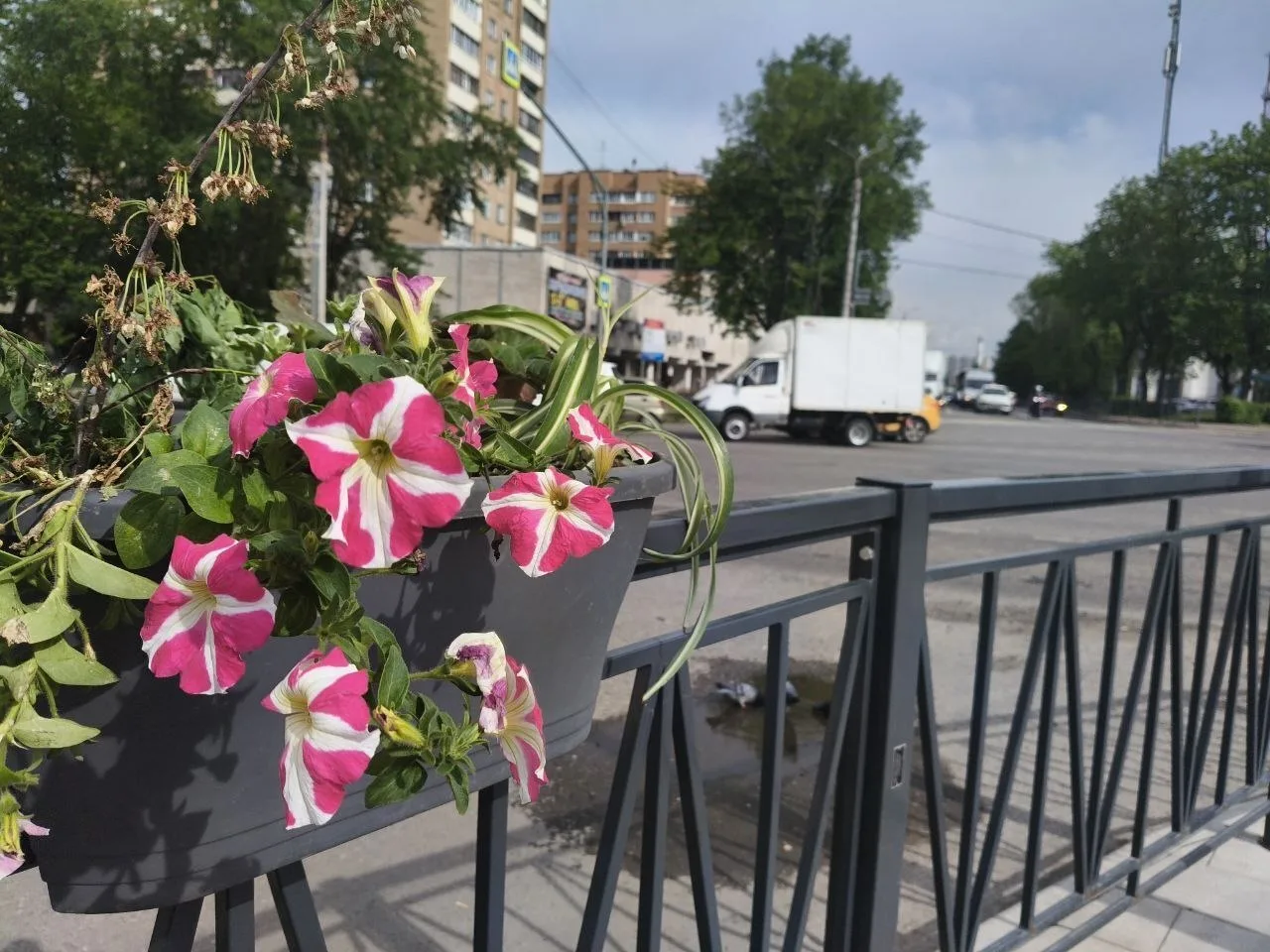 ☀️ Доброе утро, Подольск!  Сегодня особенный день для школьников и их родителей – последний звонок. 