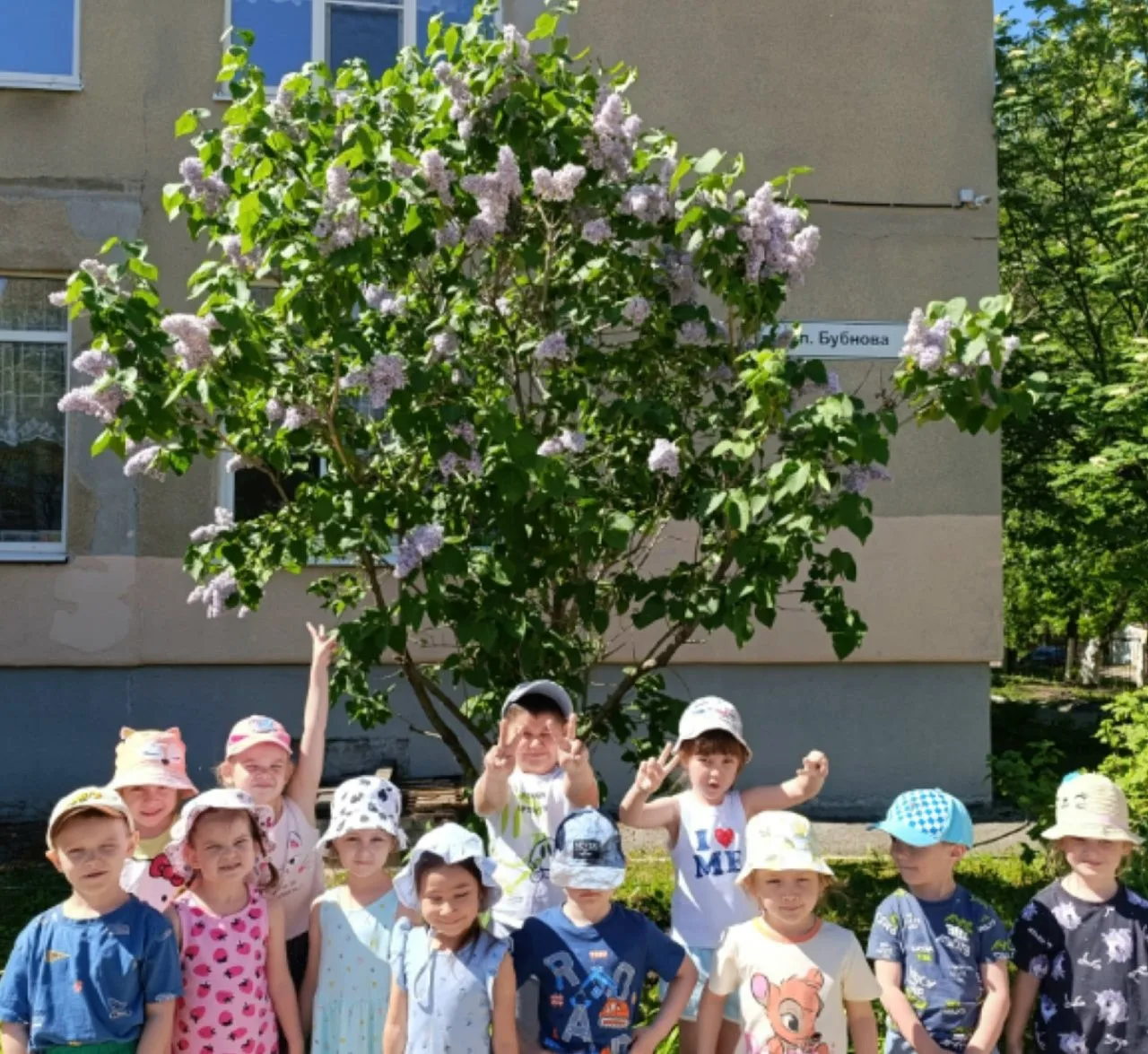 🪻В середине мая отмечают Международный день сирени.