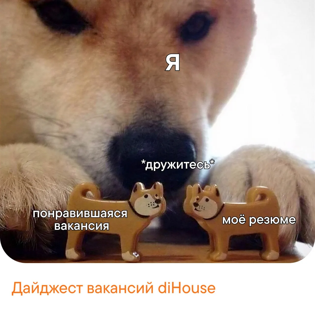 Потом на собеседование зовитесь и на работу новую выходитесь 🙂