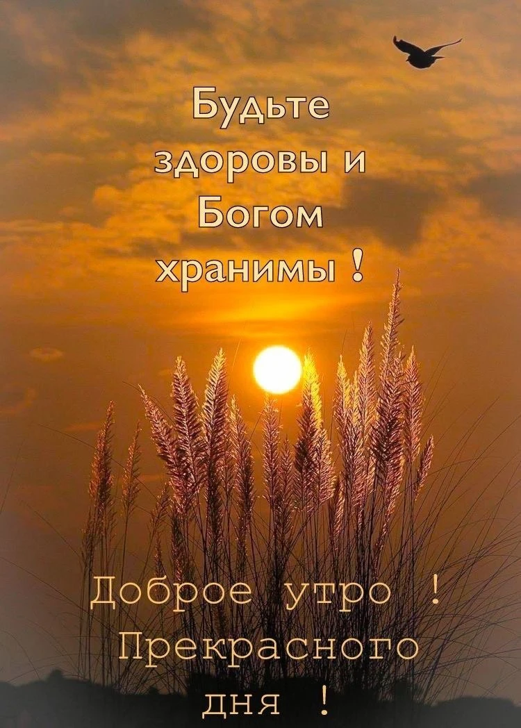 15 сентября
