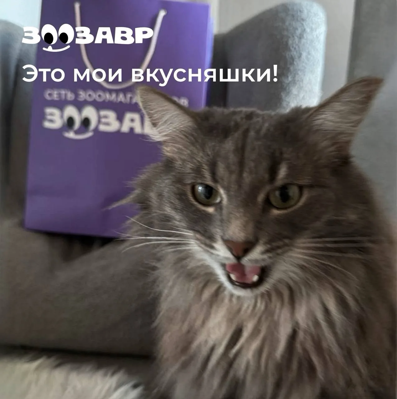 Когда речь заходит о вкусняшках…
Тут уже каждый сам за себя.