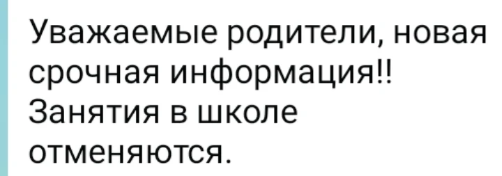 В школах Ульяновска отменяют занятия, сообщают учителя в родительских чатах