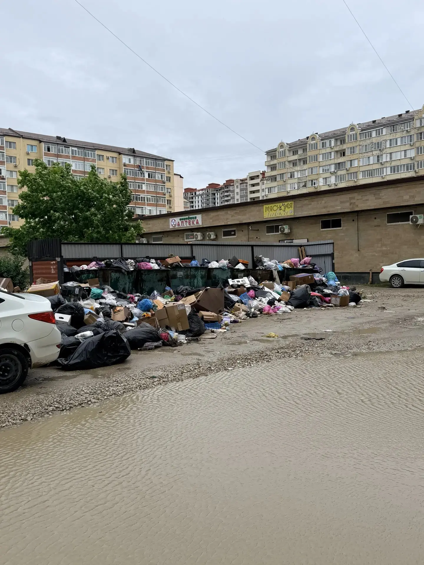 📢 РЕЗУЛЬТАТЫ ВНЕЗАПНОЙ ПРОВЕРКИ В КАСПИЙСКЕ: АНТИСАНИТАРИЯ И ЗАПАХ ВМЕСТО ВЫВОЗА МУСОРА