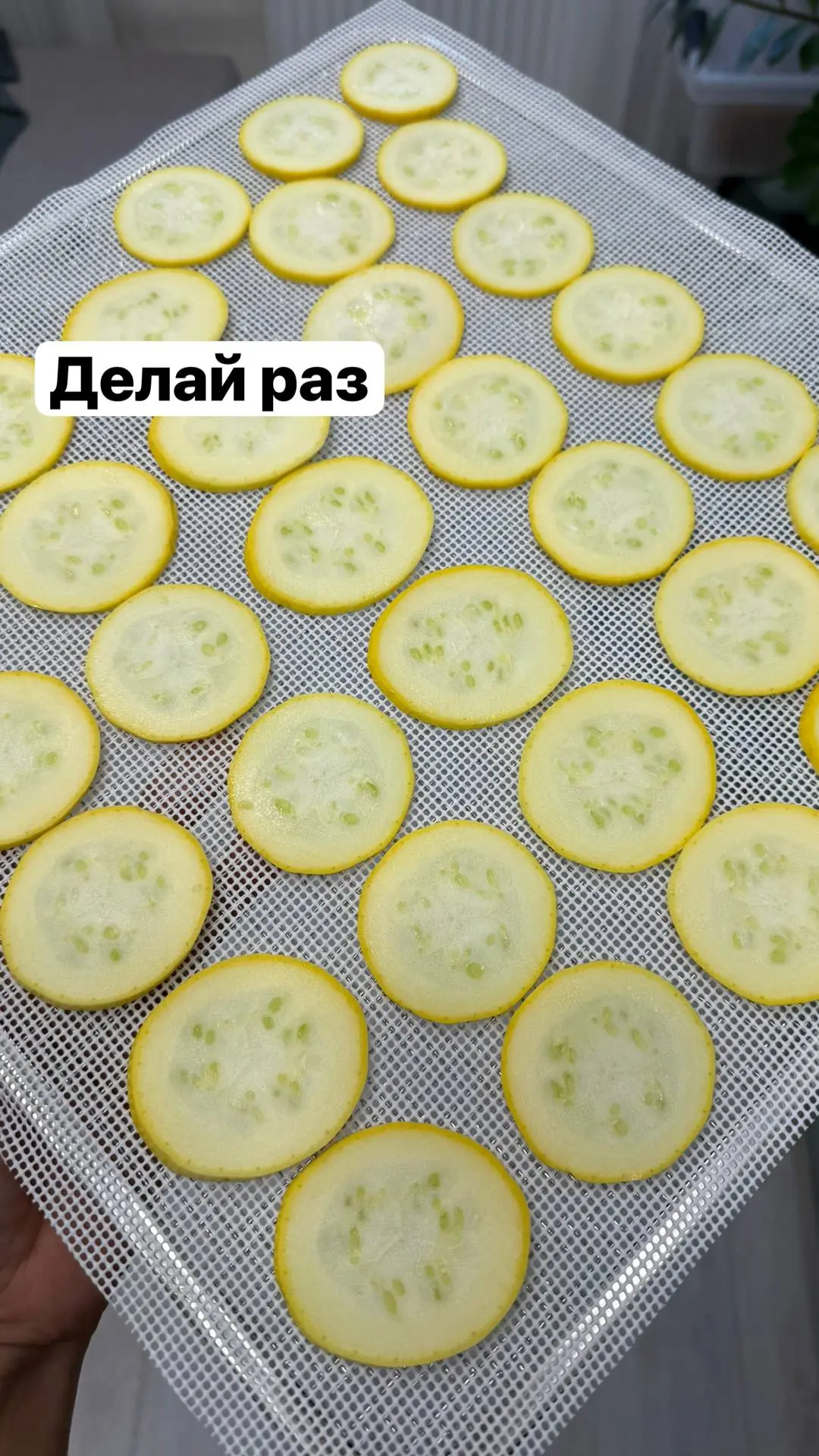 Сегодня быстренько загрузила дегидратор кабачками.