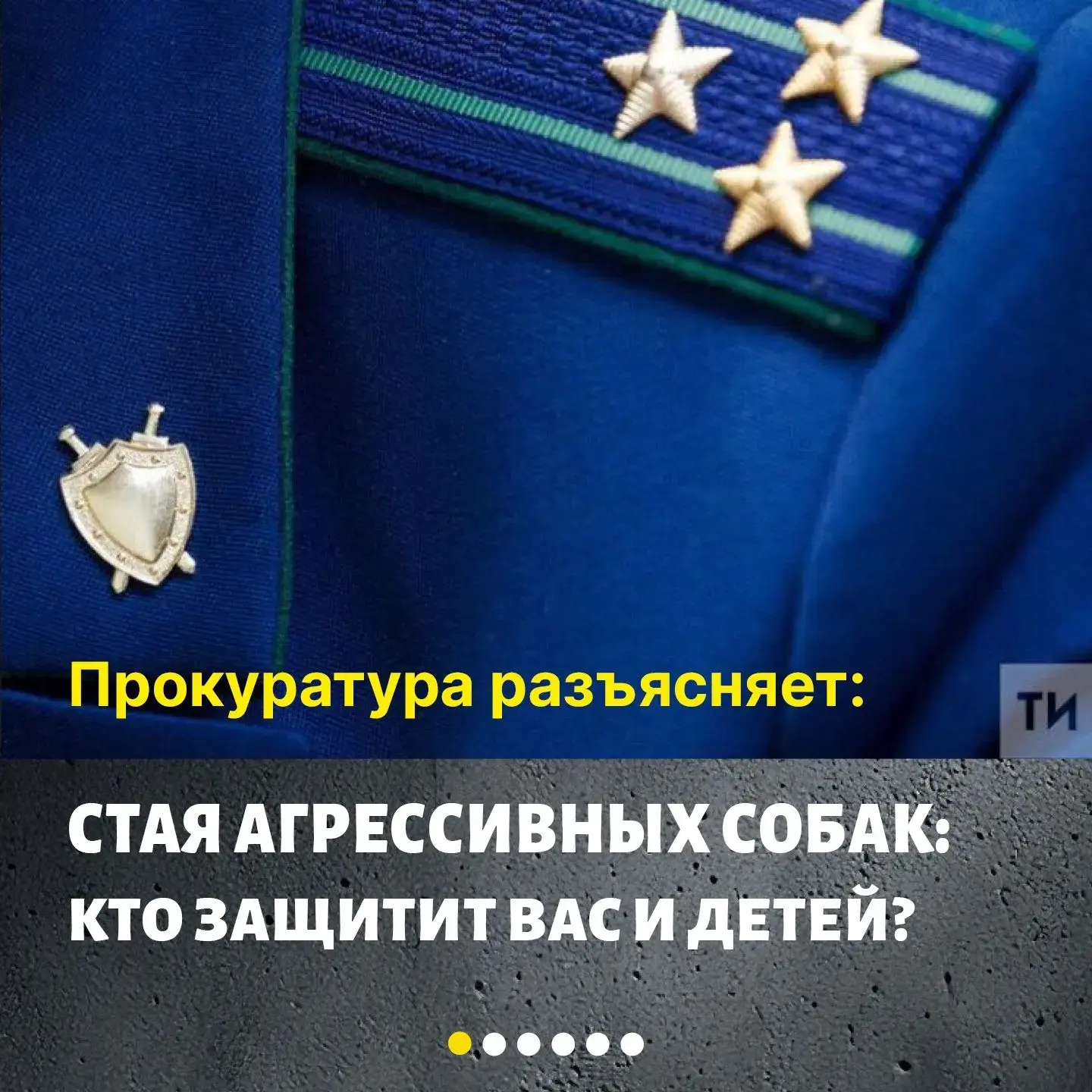 🦮Кто отвечает за отлов бездомных собак? Что делать, если во дворе появилась агрессивна...