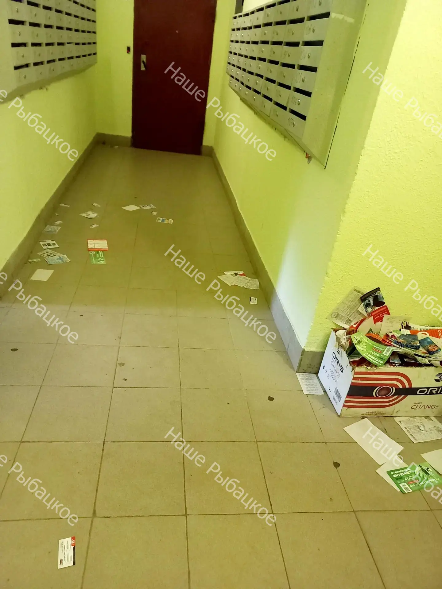 Ул. Дмитрия Устинова, д. 8 - утро в первом подъезде.