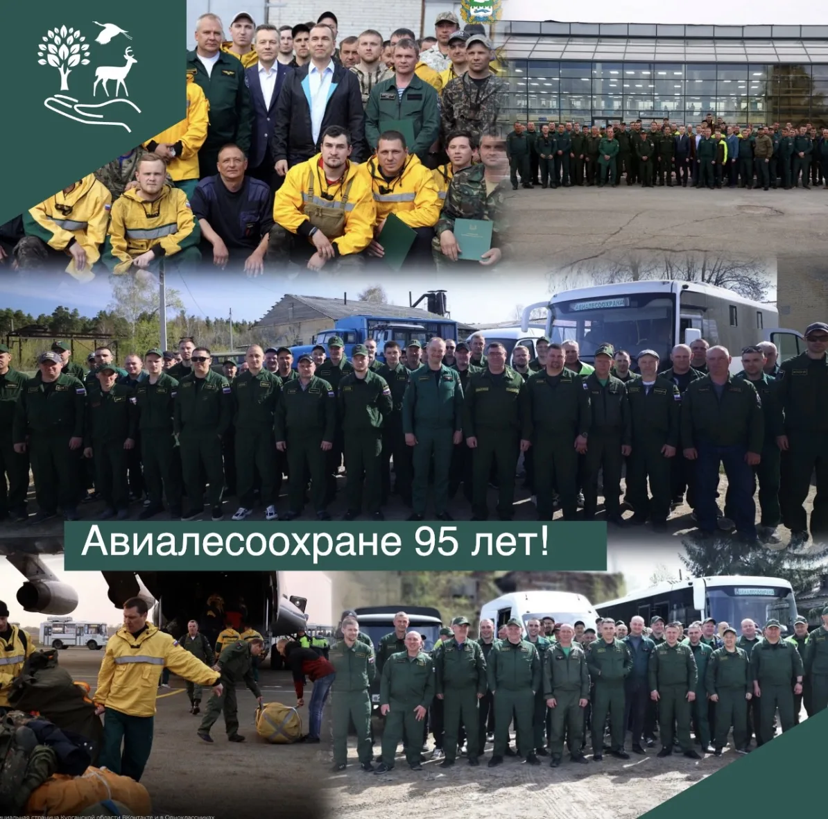 Авиалесоохране исполнилось 95 лет. 

📆Днём рождения авиационной охраны лесов в России считается 7 и