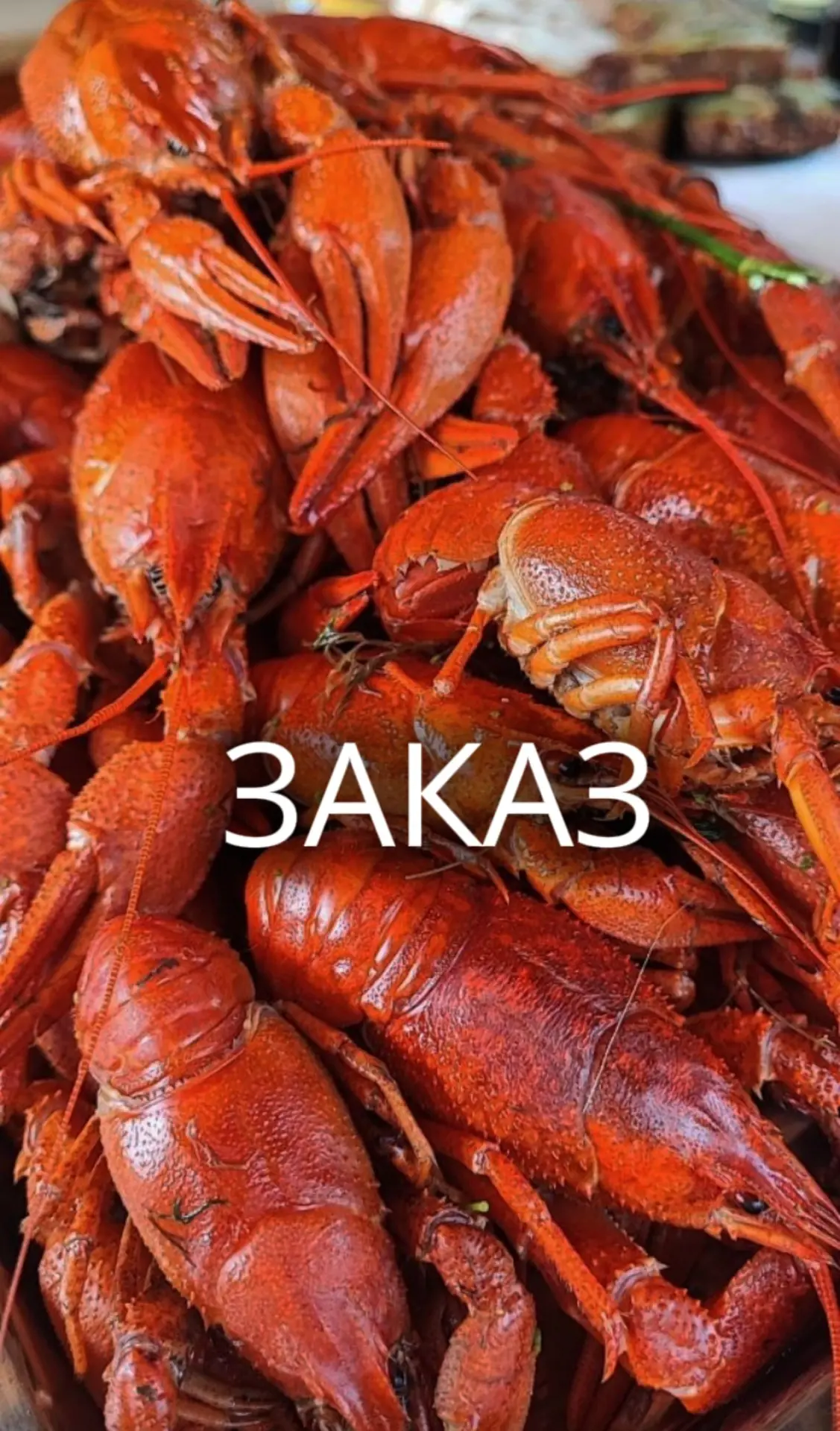 Вы тоже можете осчастливить любимых или себя!