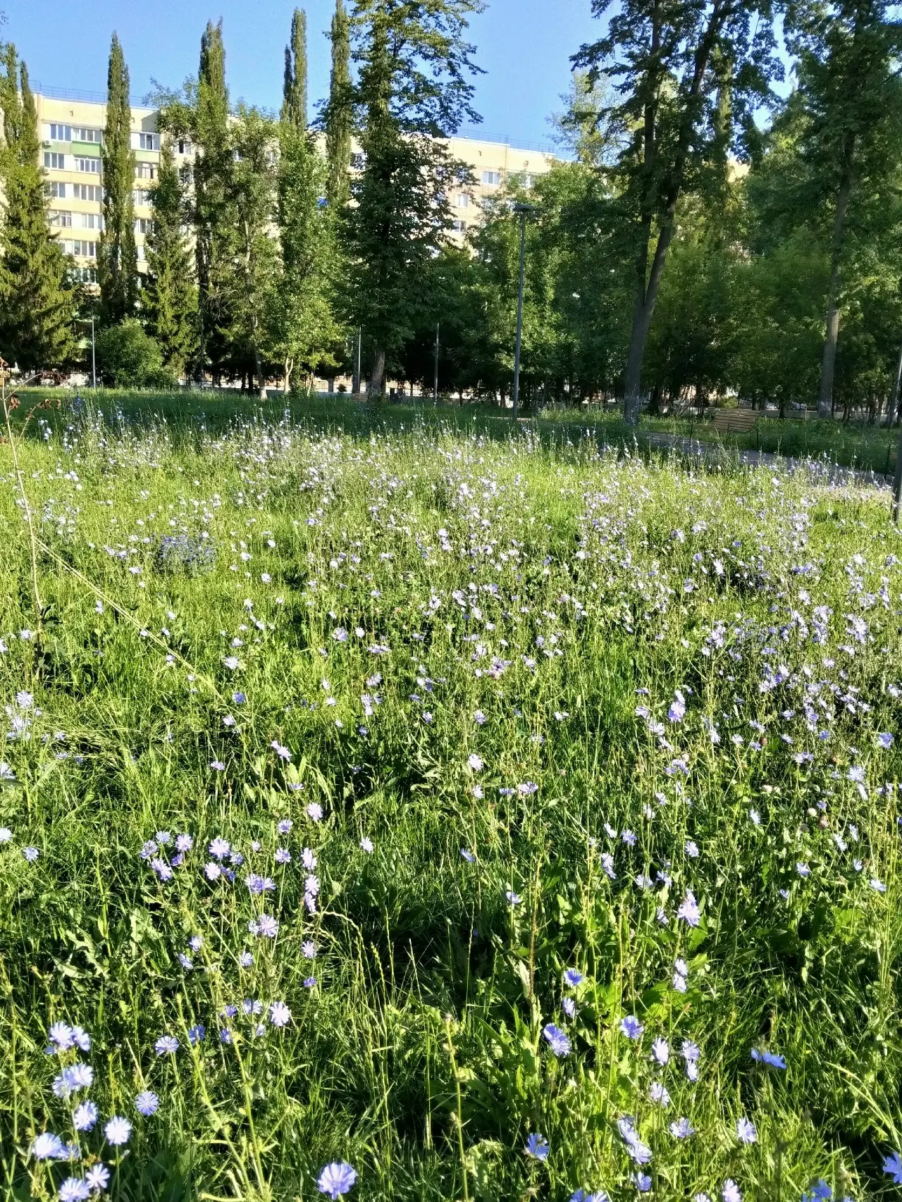 Центральный парк города Ишимбай.
Вандалы вновь все портят и во всем виноваты!!!11

❤️🖤 Подпишись на