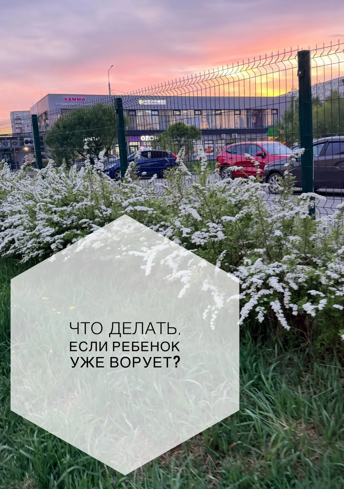 Что делать, если ребенок ворует?