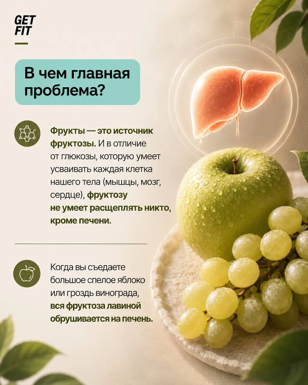🍏 Когда фрукты приносят больше вреда, чем пользы: скрытая угроза для печени и ЖКТ  3 главные проблем