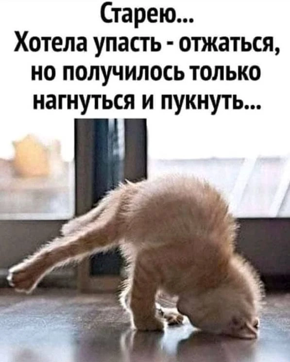 Улётные приколы - Подписаться