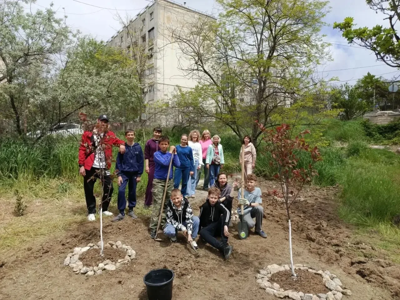 🌳В прошлом году в рамках акции «80 дел к Победе» ученики 6-В класса (классный руководи...