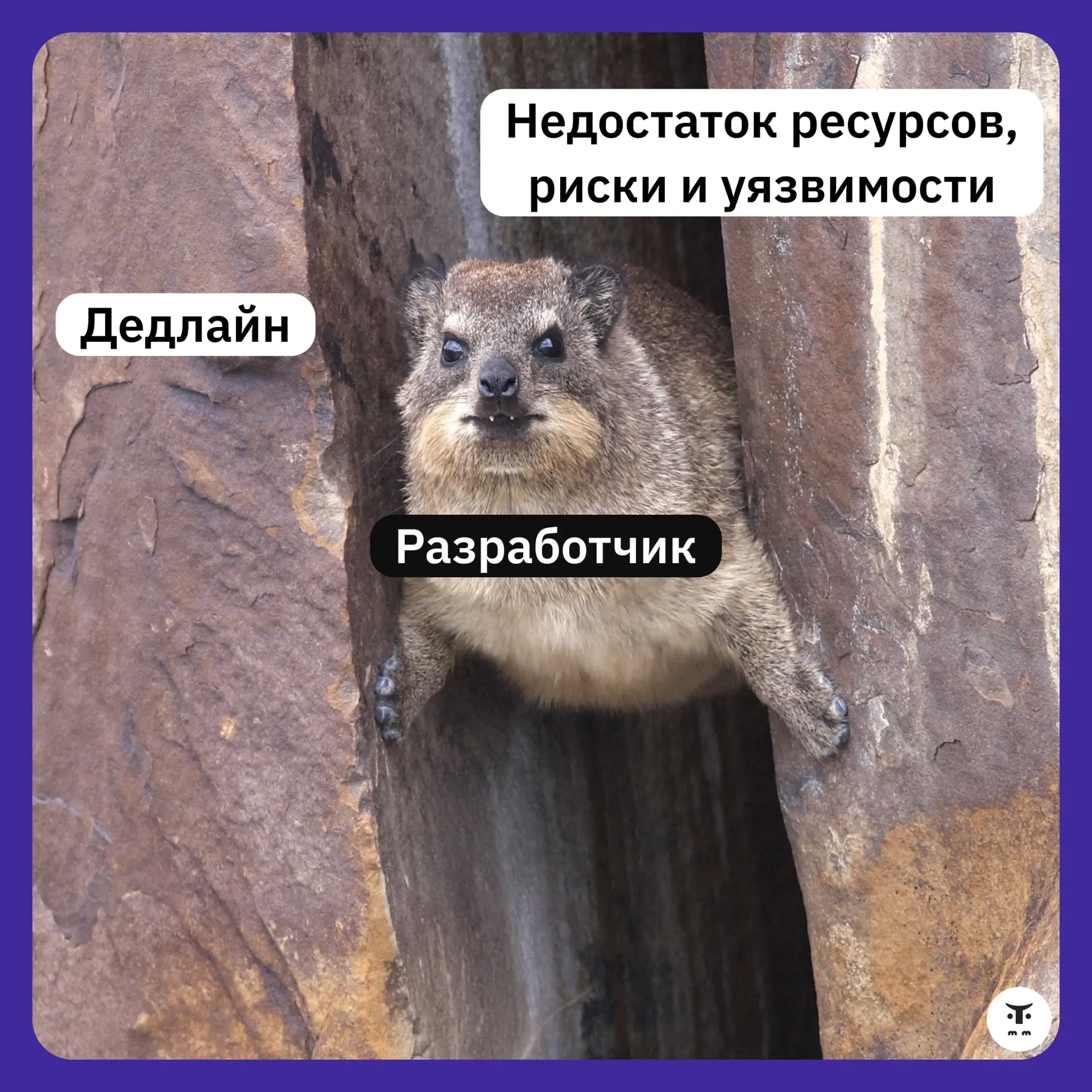 Баги всплывают в последний момент — используйте архитектурные и проектные шаблоны